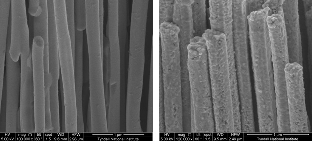 Nickel nanowires before and after gold catalyst deposition for sensing